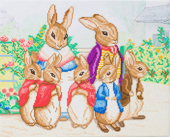 "Peter Rabbit and Family" Crystal Art Canvas 40x50cm