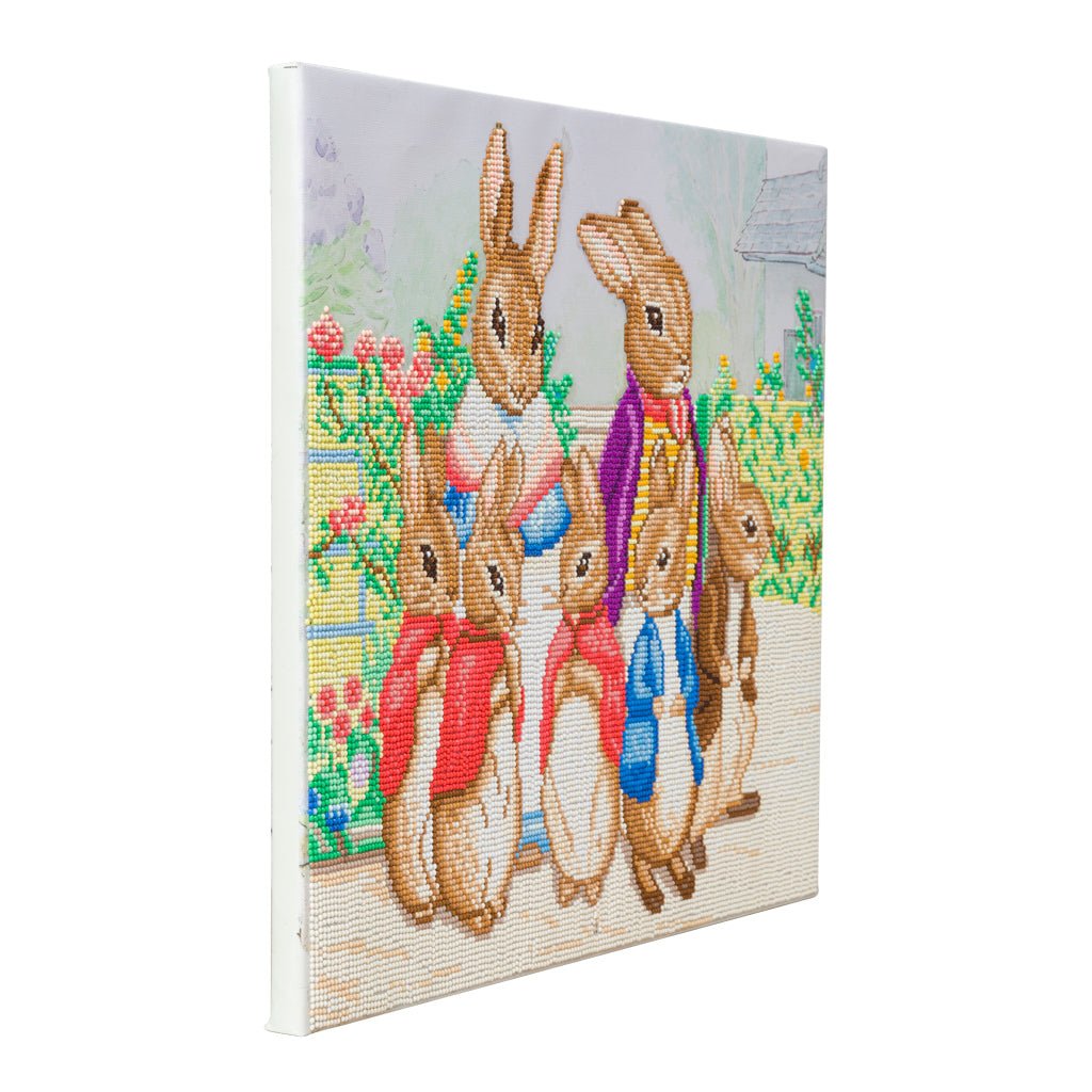 Load image into Gallery viewer, &amp;quot;Peter Rabbit and Family&amp;quot; Crystal Art Canvas 40x50cm
