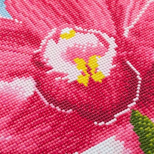 Load image into Gallery viewer, &amp;#39;Blooming Orchids&amp;#39; 40x50cm Crystal Art Kit - Complete Close Up

