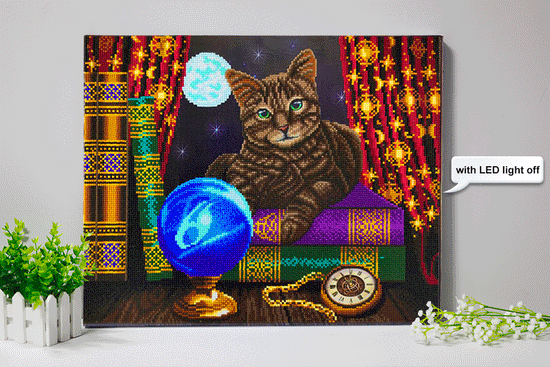 Load image into Gallery viewer, &amp;quot;Fortune Teller&amp;quot; Framed LED Crystal Art Kit 40x50cm
