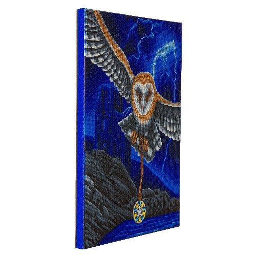 "Heart of the Storm Owl" Framed LED Crystal Art Kit 40x50cm