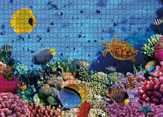 "Underwater" Jigsaw Puzzle Kit 1000pcs