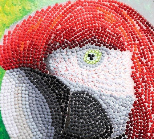 Load image into Gallery viewer, Pretty Parrot Crystal Art Card - Close Up
