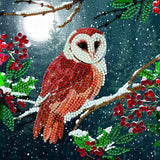 CCK-A65: "Barn Owl" 18x18cm Crystal Art Card