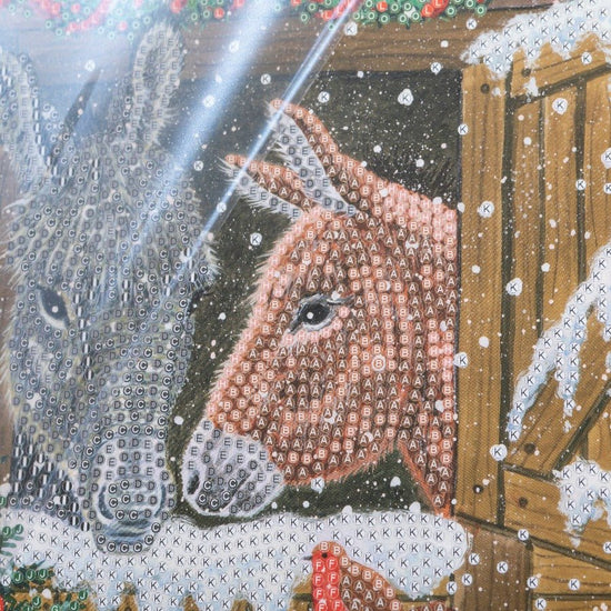 Winter Donkeys, 18x18cm Crystal Art Card Incomplete Close Up