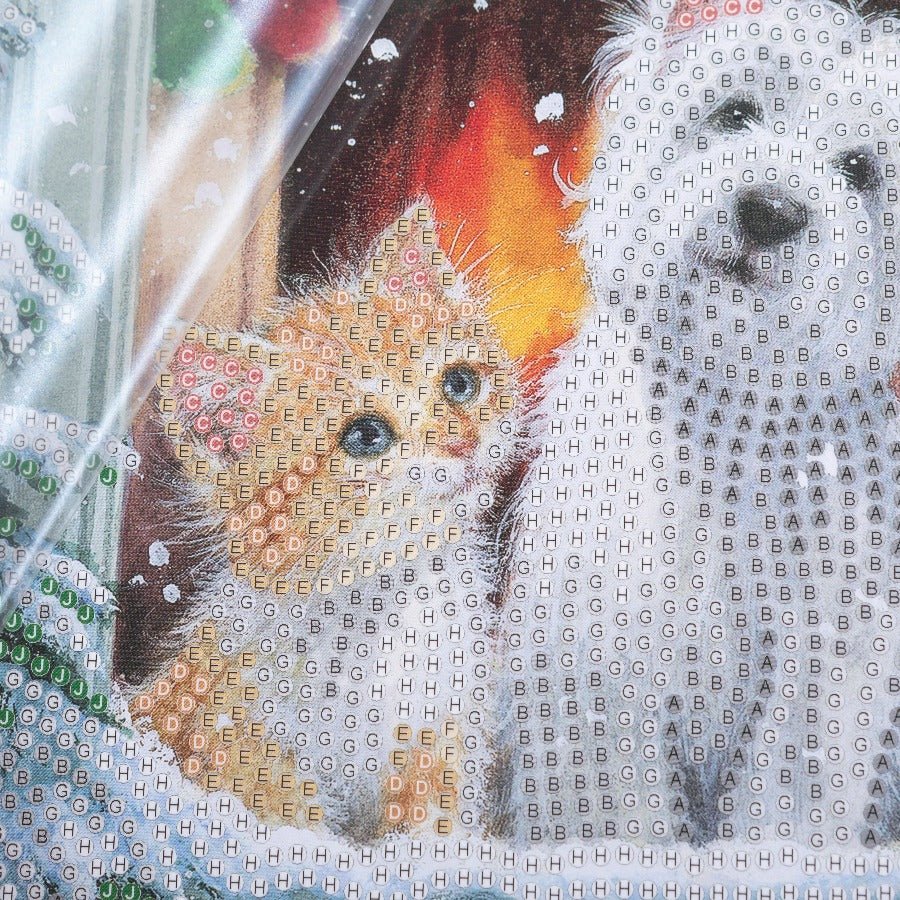 By the Window, 18x18cm Crystal Art Card Close up Incomplete