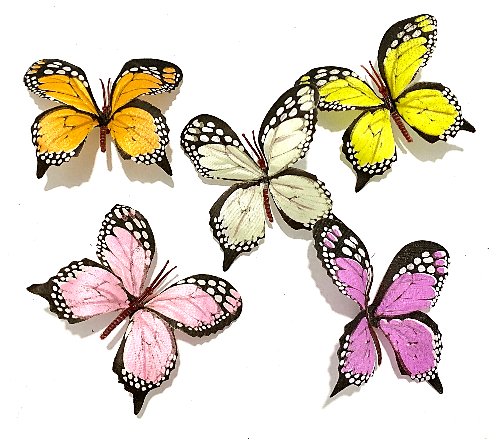 Forever Flowerz Butterflies