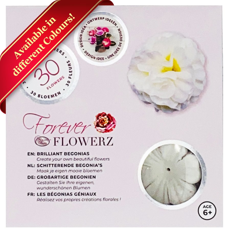 "Brilliant Begonias" Forever Flowerz Starter Kit approx 30 Flowers