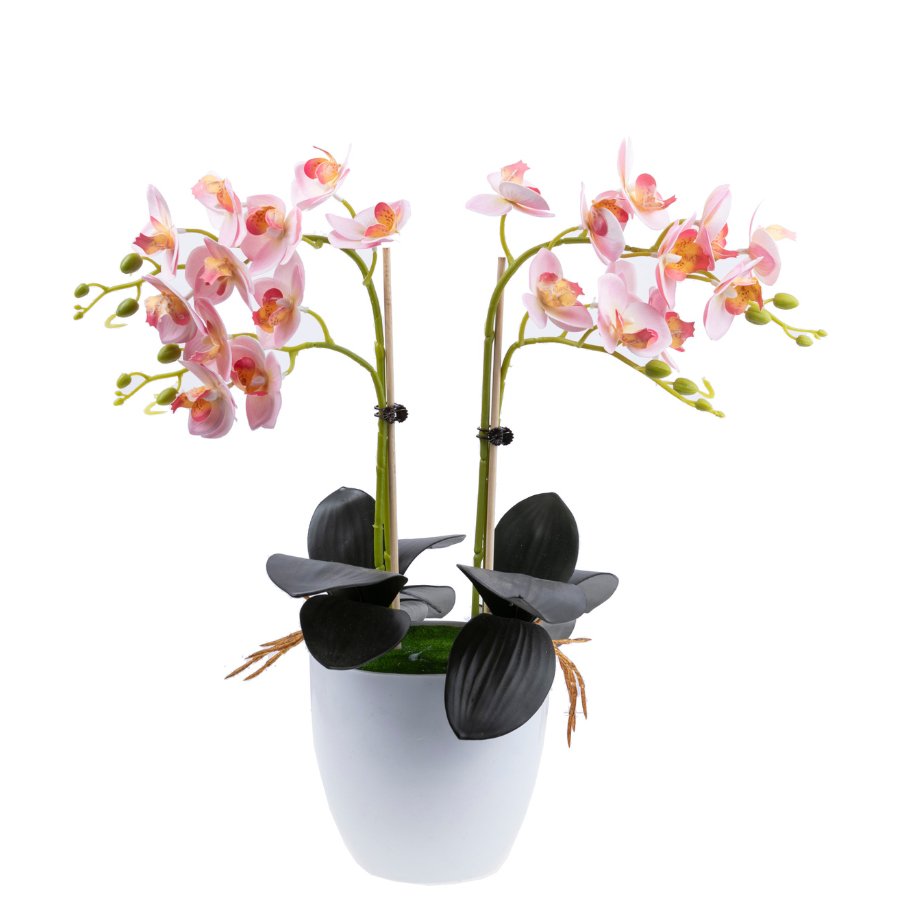 Load image into Gallery viewer, Forever Flowerz orchid collection makes 2 blossom front pale pink
