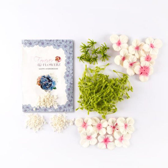 Forever Flowerz Happy Hydrangeas Starter Packs - Raspberry Ripple