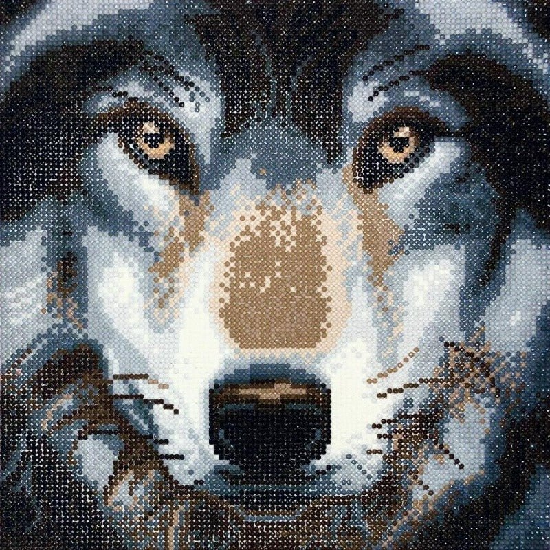 Load image into Gallery viewer, &amp;quot;Wolf&amp;quot; Framed Crystal Art 30x30cm
