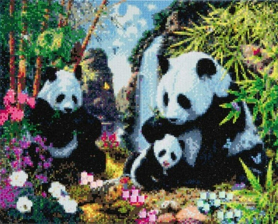 "Panda Valley" Framed Crystal Art Kit 40x50cm