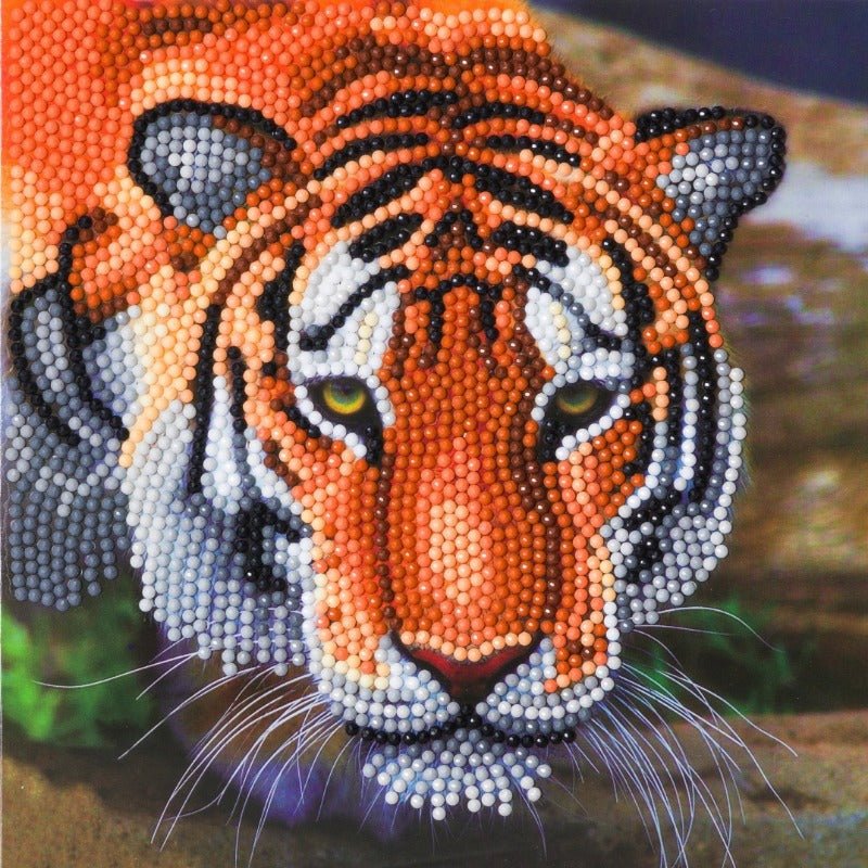 Load image into Gallery viewer, &amp;quot;Tiger&amp;quot; Crystal Art Card Kit
