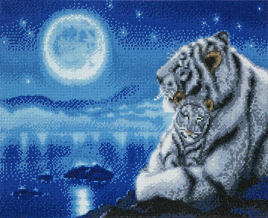 "Lullaby" White Tigers by Kentaro Nishino