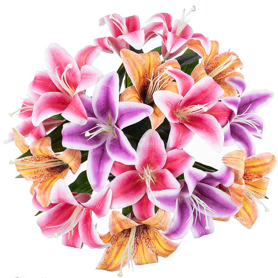 lily flower collection Luscious Lilies