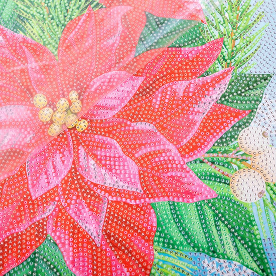 "Poinsettia" Crystal Art Scroll Kit before