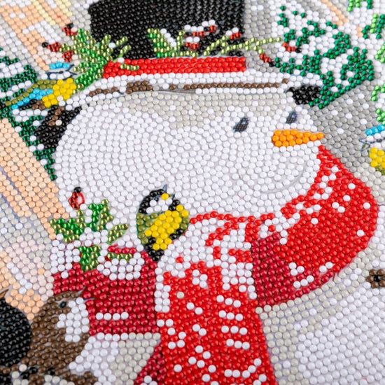 snowman-and-birds-30x30cm-crystal-art-kit-close-up